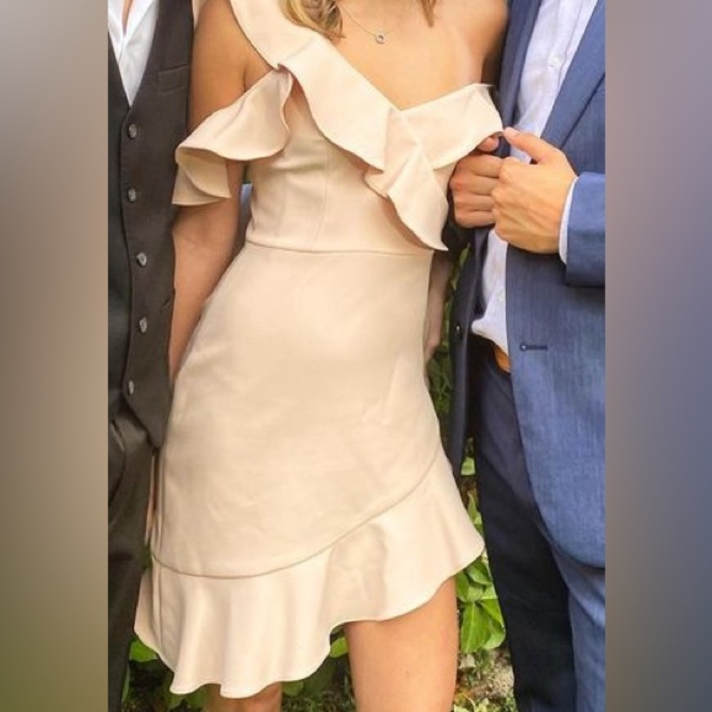 BCBG maxazria orig $268 nude cocktail dress